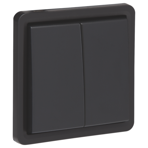 Interrupteur interrupteur noir, 2 A, 500 W maxi